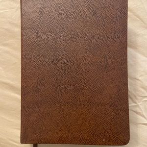 Brown journaling Bible